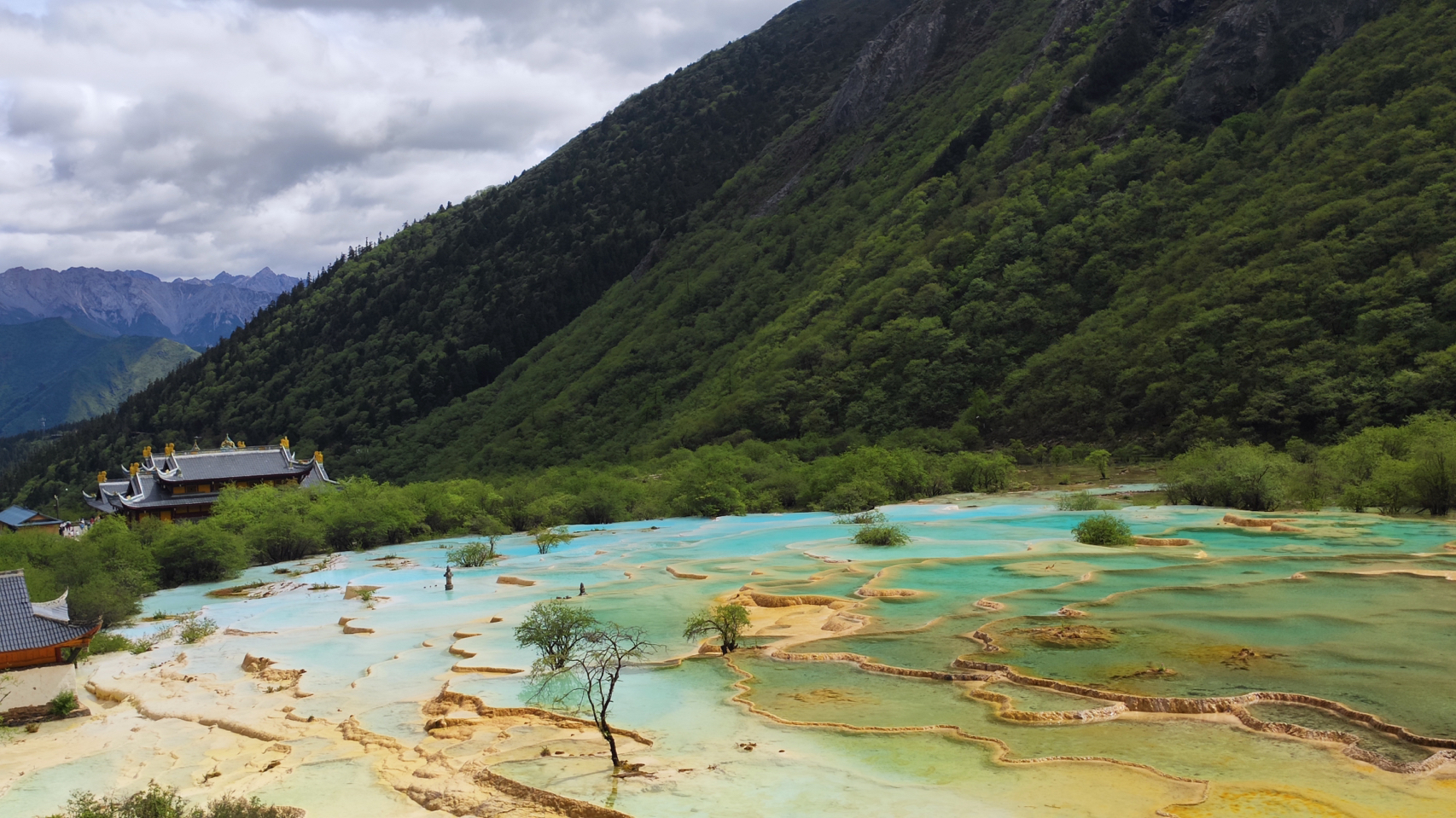 黄龙跃巅峰，自信旅程成就非凡梦想