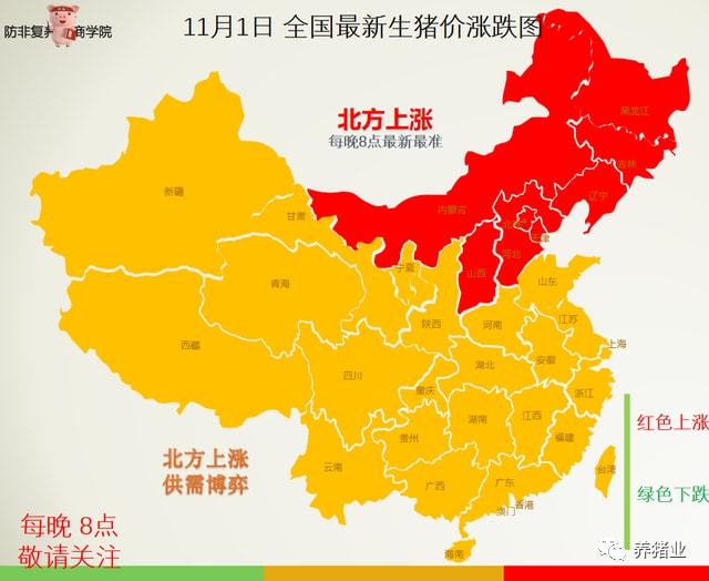 小巷深处的独特风味,一家特色小店的惊喜之旅,全国最新推荐