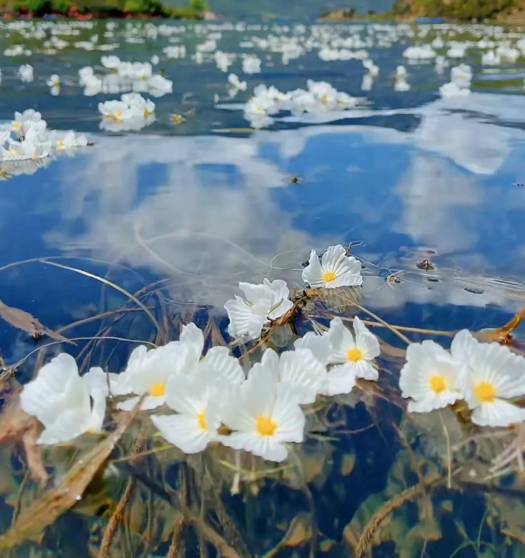 泸沽湖新貌与人生励志故事,美景变迁中的心灵之旅