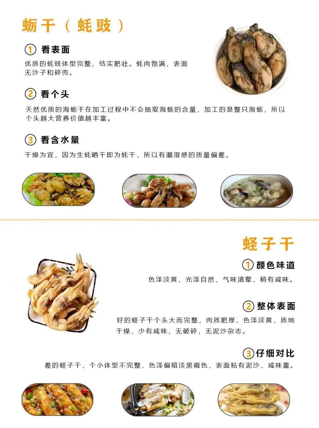 干货最新,干货最新大揭秘🔥你绝对不能错过的最新干货分享!📣✨