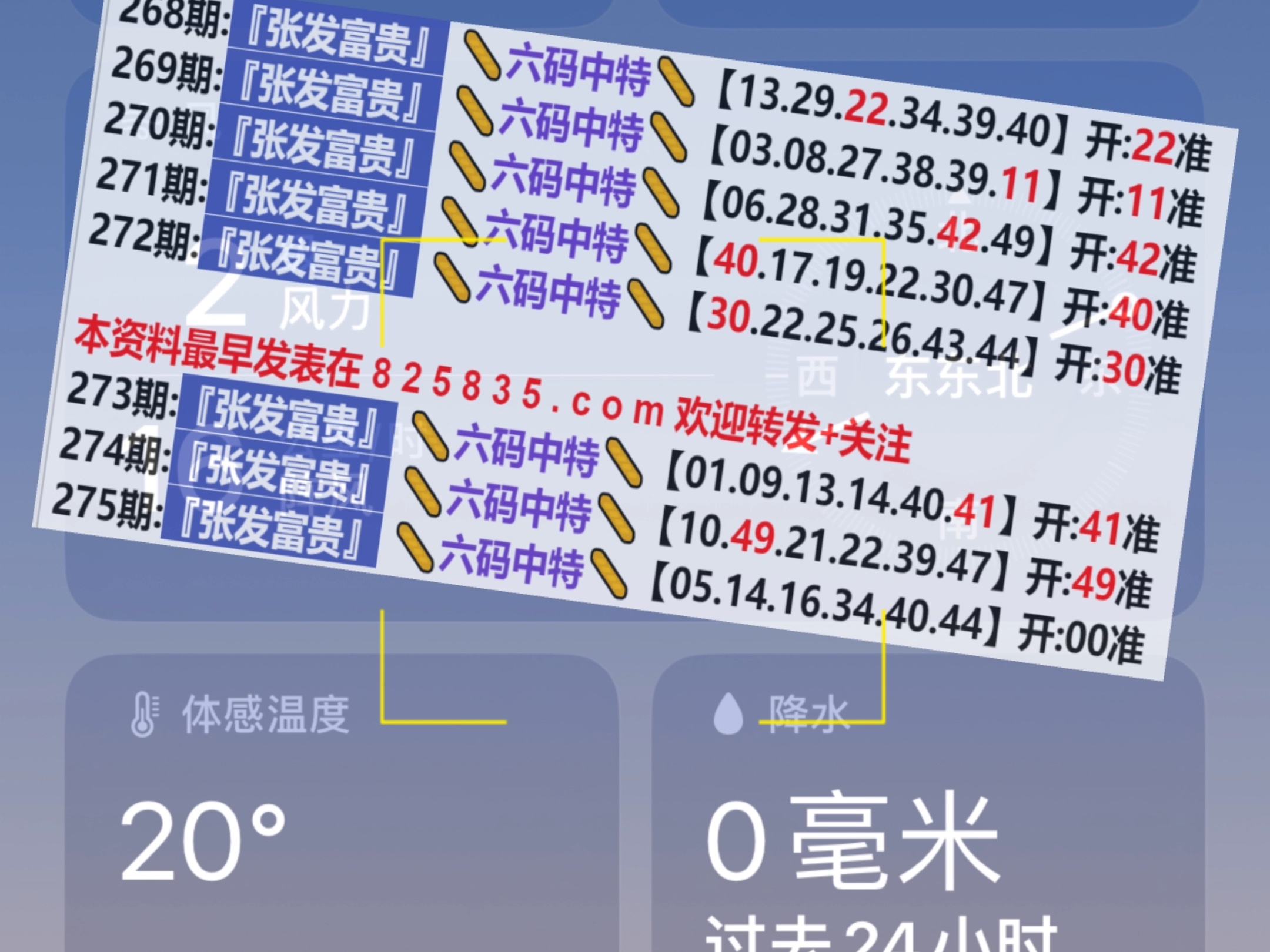 2024新澳门天天开好彩,策略规划_环保版63.275