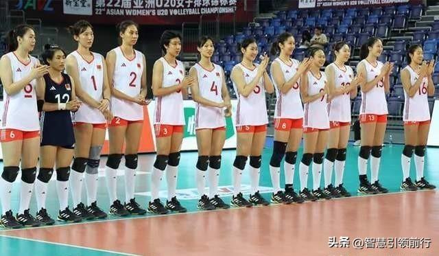 2024澳门今天晚上开什么生肖啊,高速响应计划执行_触控版32.949