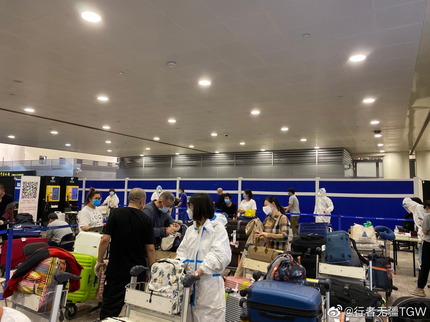 最新疫情动态与回国消息，观点论述