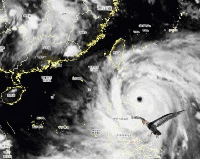 风暴之眼下的风云变幻,最新台风消息实时更新