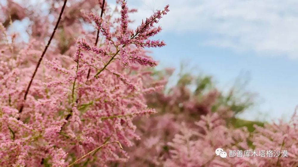 新澳天天开奖资料大全旅游攻略,创新计划制定_见证版97.109