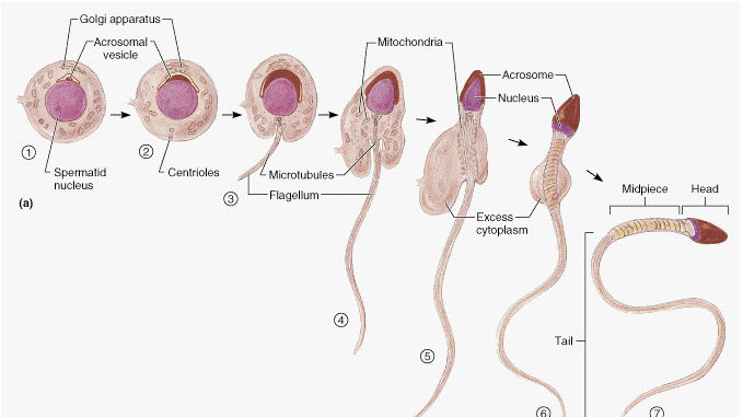远离非法色情内容，追求健康娱乐生活方式，寻找有益身心的放松方式