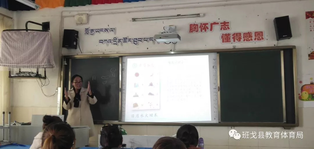 澳门天天免费精准大全,动态解读分析_感知版47.252