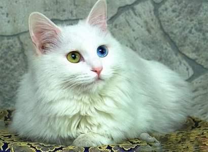 电子产品研发 第443页