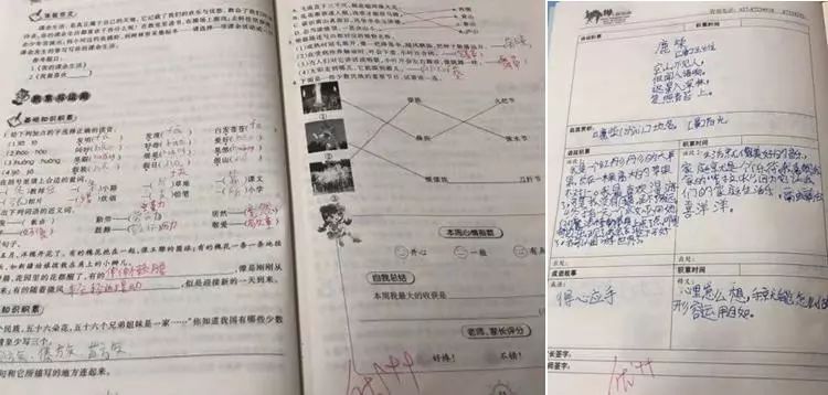 澳门正版资料大全资料生肖卡,理论考证解析_采购版56.902