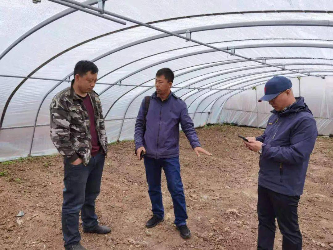 澳门王中王100%正确答案最新章节,科学解释分析_设计师版89.404