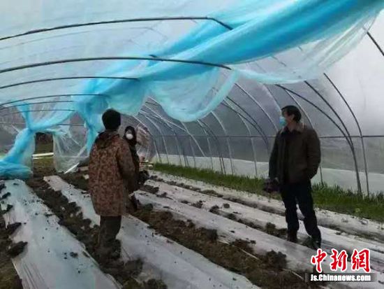 宜兴疫情最新动态，防疫指南与技能学习更新发布