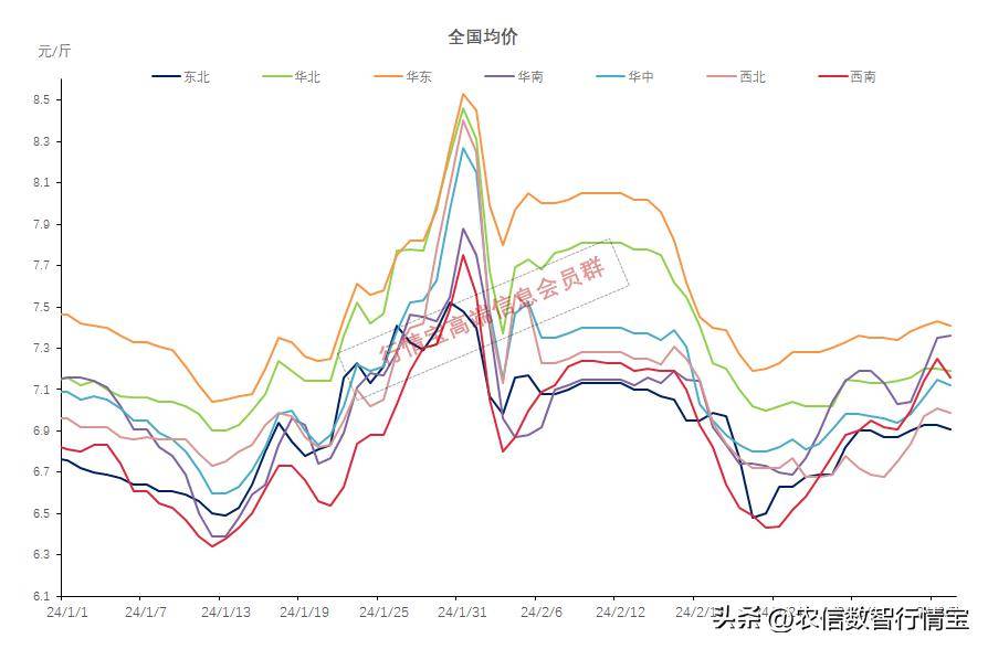 全国最新行情深度解析报告