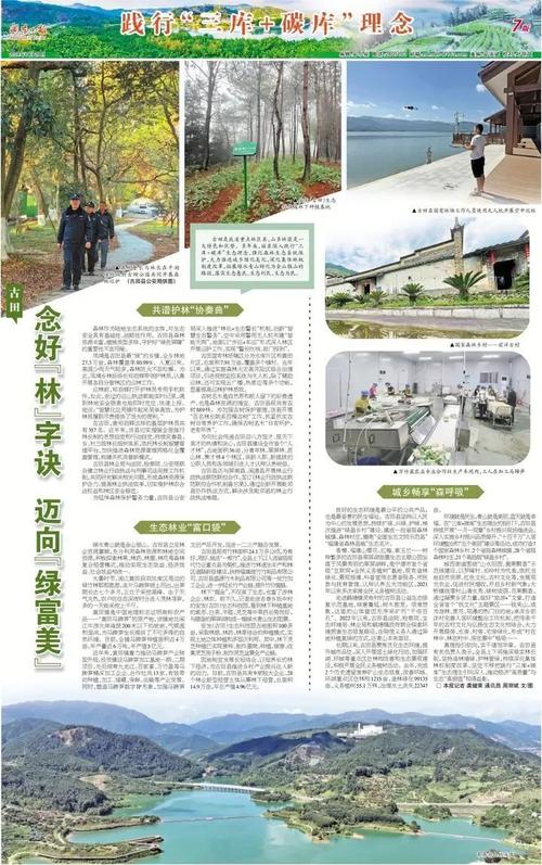 时代背景下的绿色篇章,林业政策最新动态与绿色发展之路