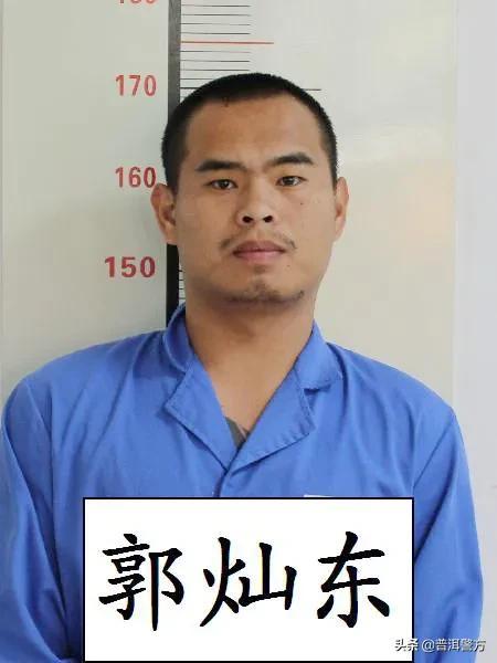 普洱茶新篇章揭晓,普洱最新通告引领行业发展方向