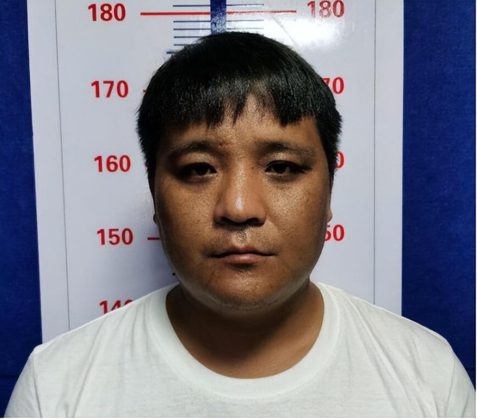 普洱茶新篇章揭晓,普洱最新通告引领行业发展方向