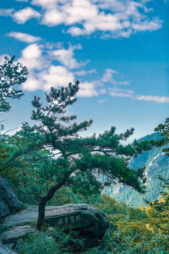 by最新入口,By最新入口，探索前沿科技的便捷之门