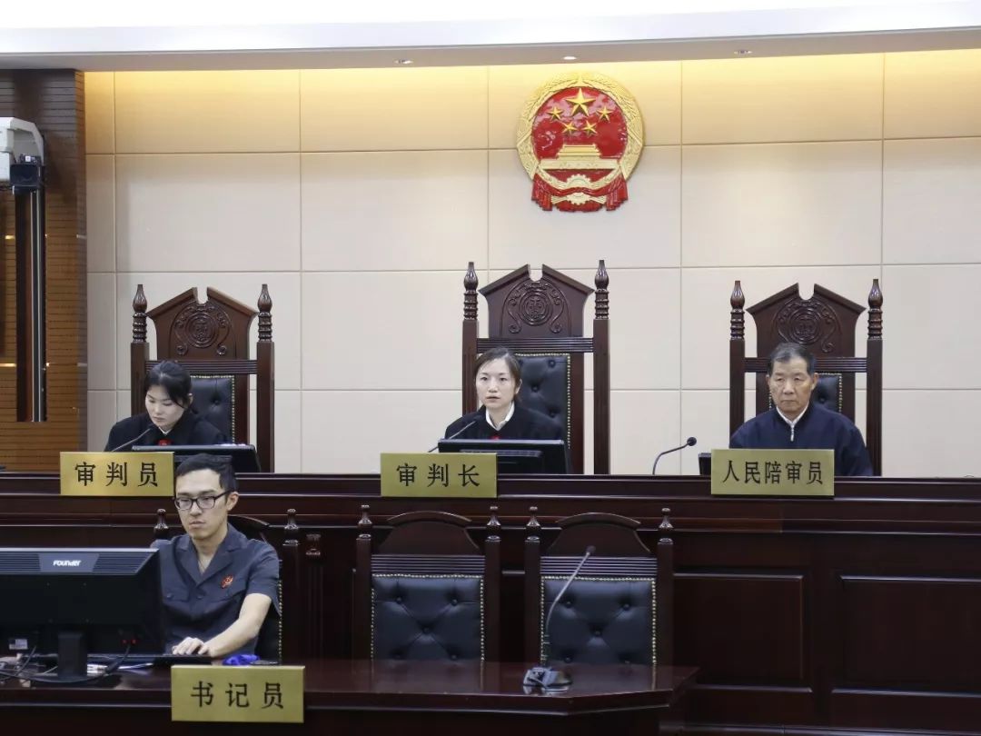 最新逃税宣判详解,步骤指南与案例分析