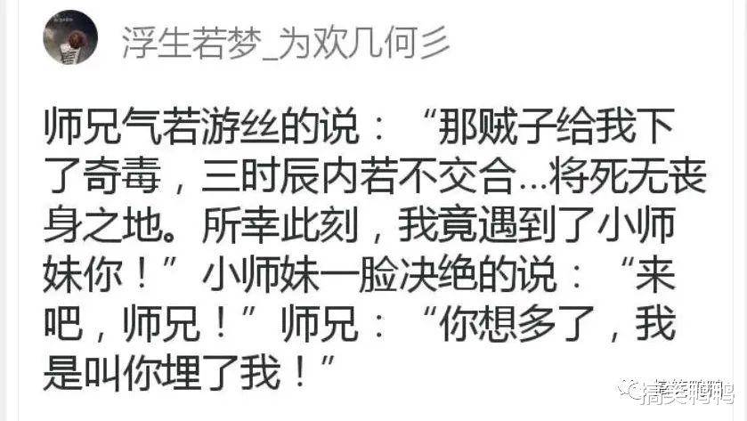 最新枞阳笑话，自然之旅与内心的平静之道