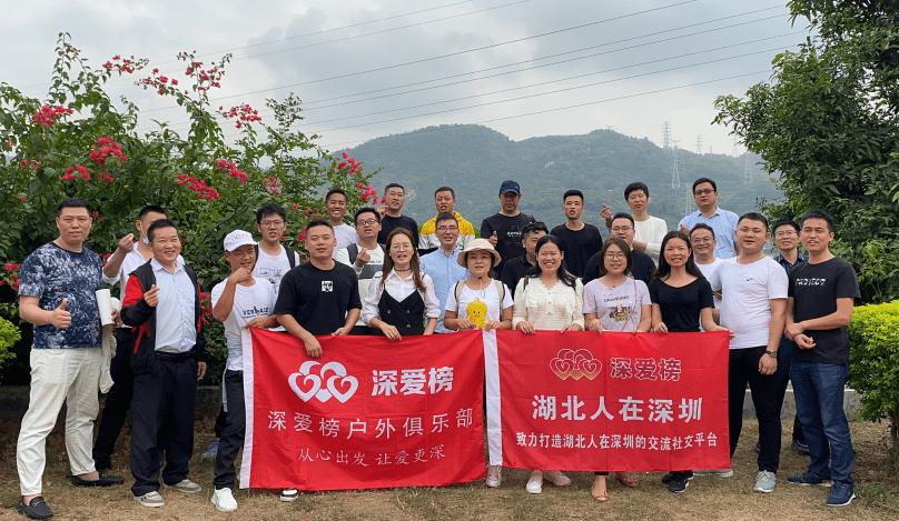 深圳湖北新貌，城市变迁中的梦想与自信之光