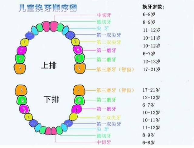 心灵与自然共舞之旅,探寻最新心灵的启程点