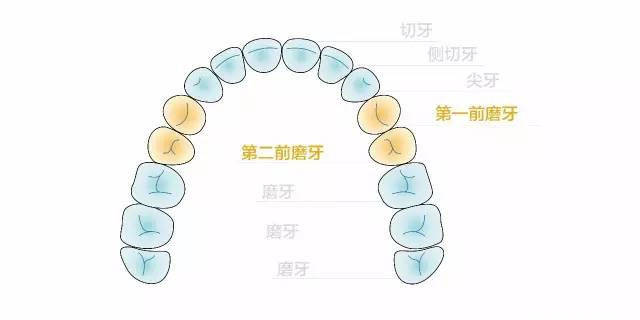 心灵与自然共舞之旅,探寻最新心灵的启程点