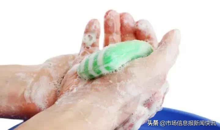 虫小虫最新任务完成与技能学习详细步骤指南