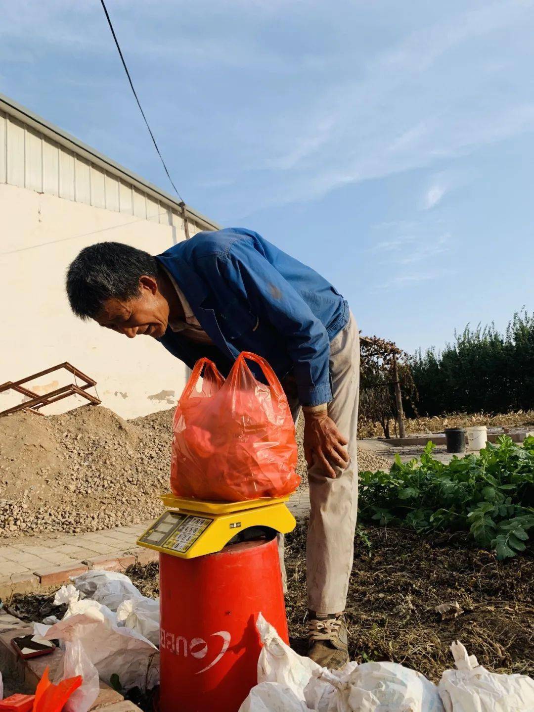 探索未来劳动力新趋势,虫工人的最新发展