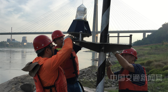 探索未来劳动力新趋势,虫工人的最新发展