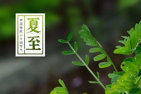 夏至日最新探寻之旅,自然美景中寻找内心平和与喜悦