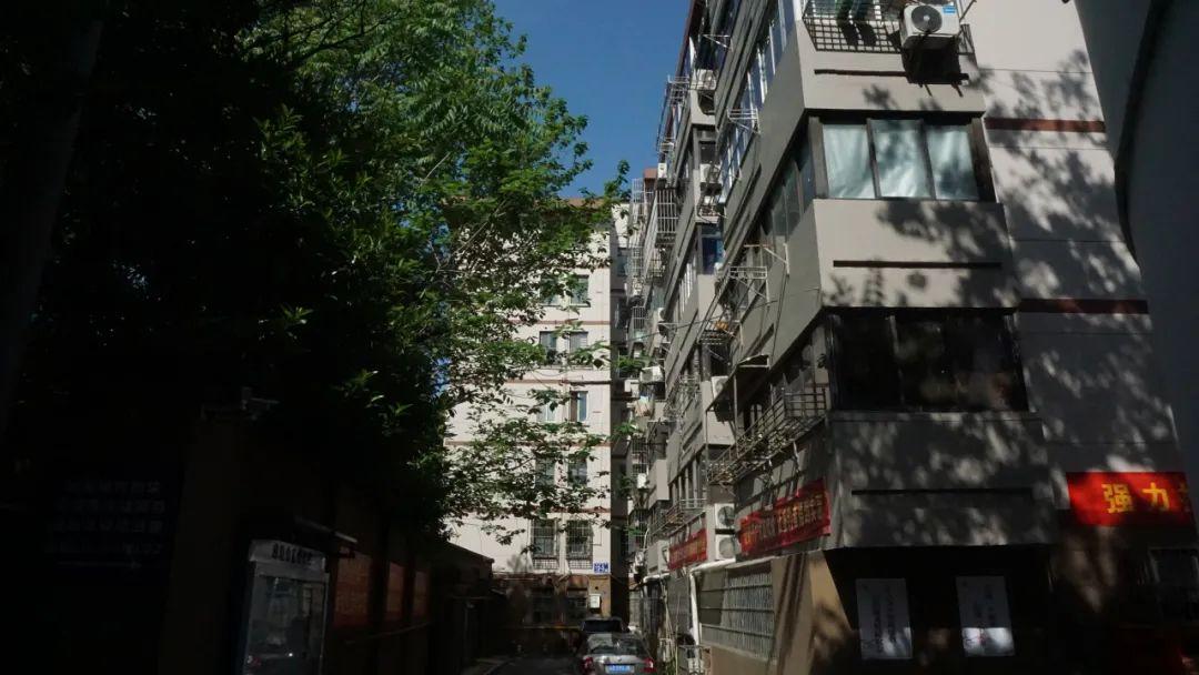 最新征收文深度解析与观点阐述