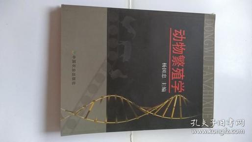 最新渔民新书,小巷深处的宝藏小店