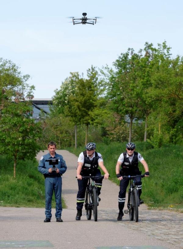 法国疫情最新动态,自然之旅中重拾内心的宁静与平和