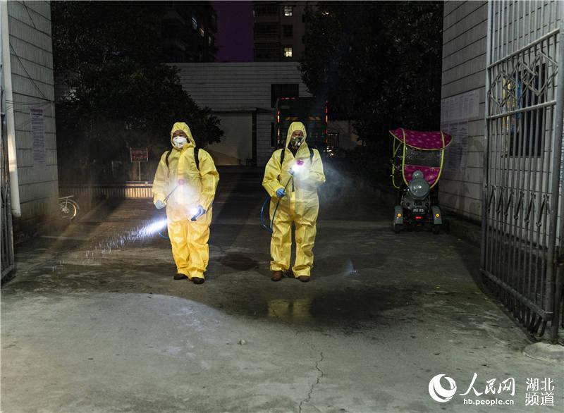 最新秭归疫情全面解读与应对建议