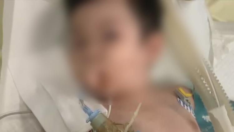 小巷深处的独特小店探秘，最新救救宝宝揭秘之旅