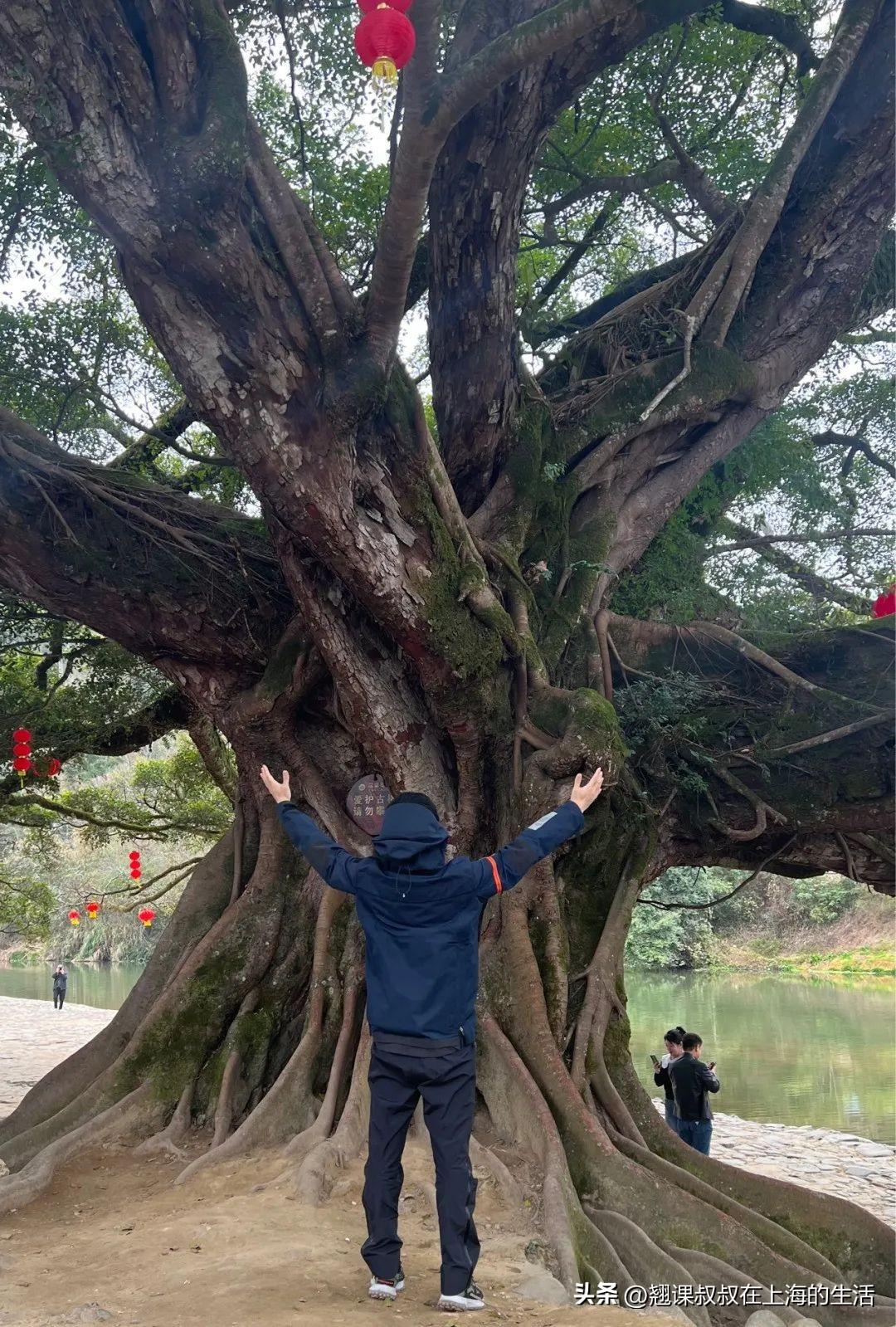 最新莆田歌,🎵最新莆田歌,带你领略莆田魅力🎶