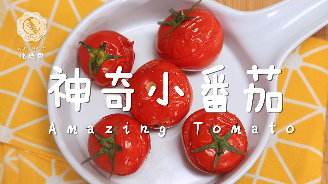 番茄完结最新攻略,高效完成任务与技能学习指南