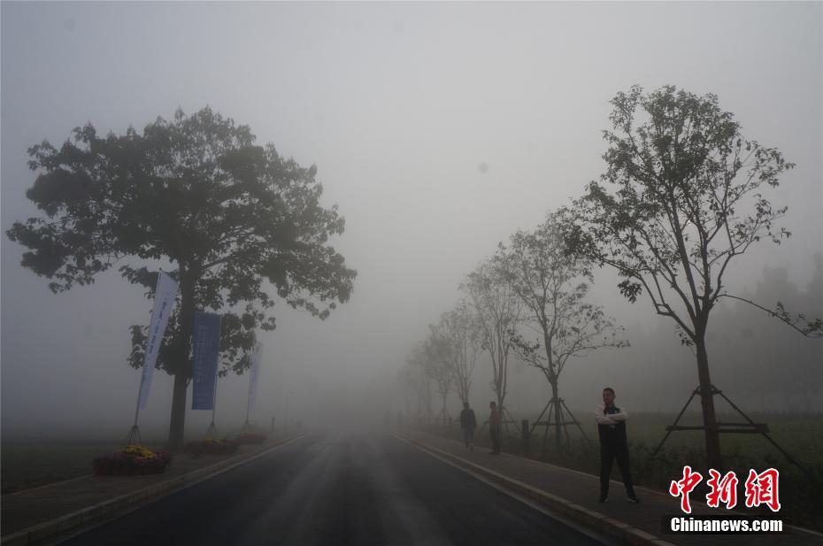 河南大雾最新情况，科技助力视界智能护航生活