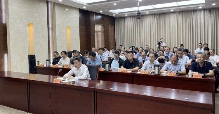 最新全国经济概览报告发布，揭示经济发展新动向