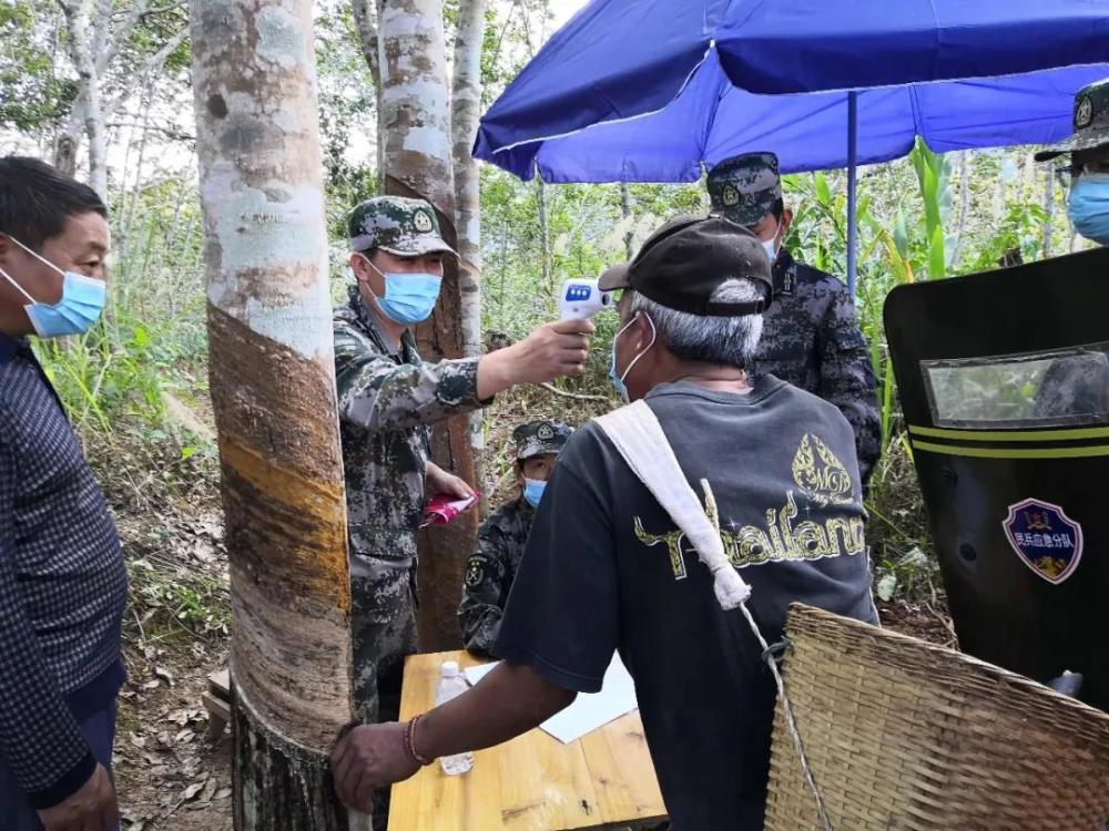 寻找内心的宁静与力量,西双版纳疫情下的自然探索之旅