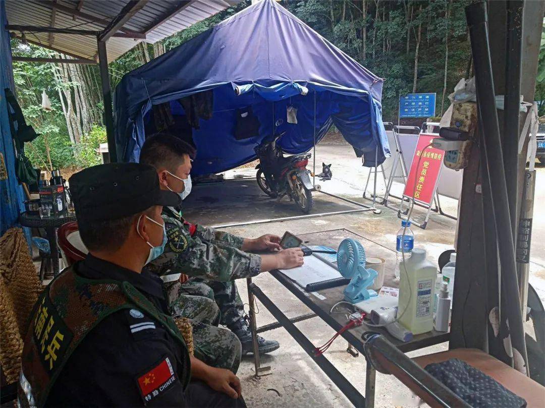 寻找内心的宁静与力量,西双版纳疫情下的自然探索之旅