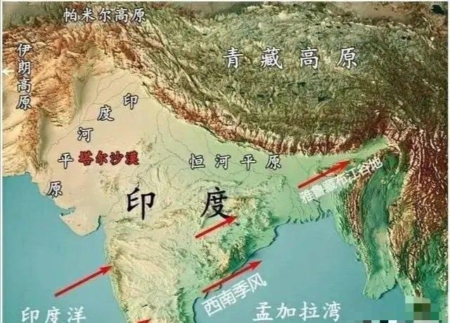 印度沙漠蝗灾,全球面临的挑战与灾难的警示