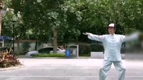最新观音拳,融合传统与现代的武术瑰宝