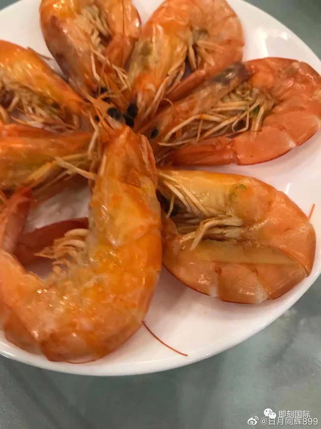 最新虾事件,友情与爱的温馨篇章