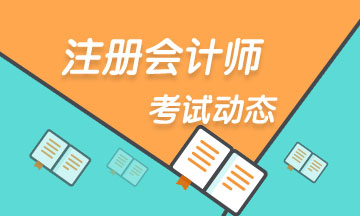 最新注册考试背后的隐藏宝藏,小巷特色小店的奇妙探秘之旅