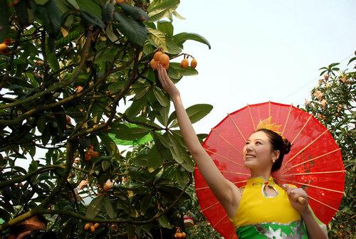 泸州最新试点任务或学习技能的详细步骤指南