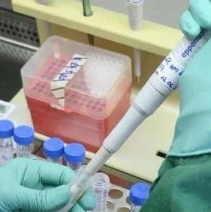 🌸元氏最新肺炎,了解、防护与共同前行🌸