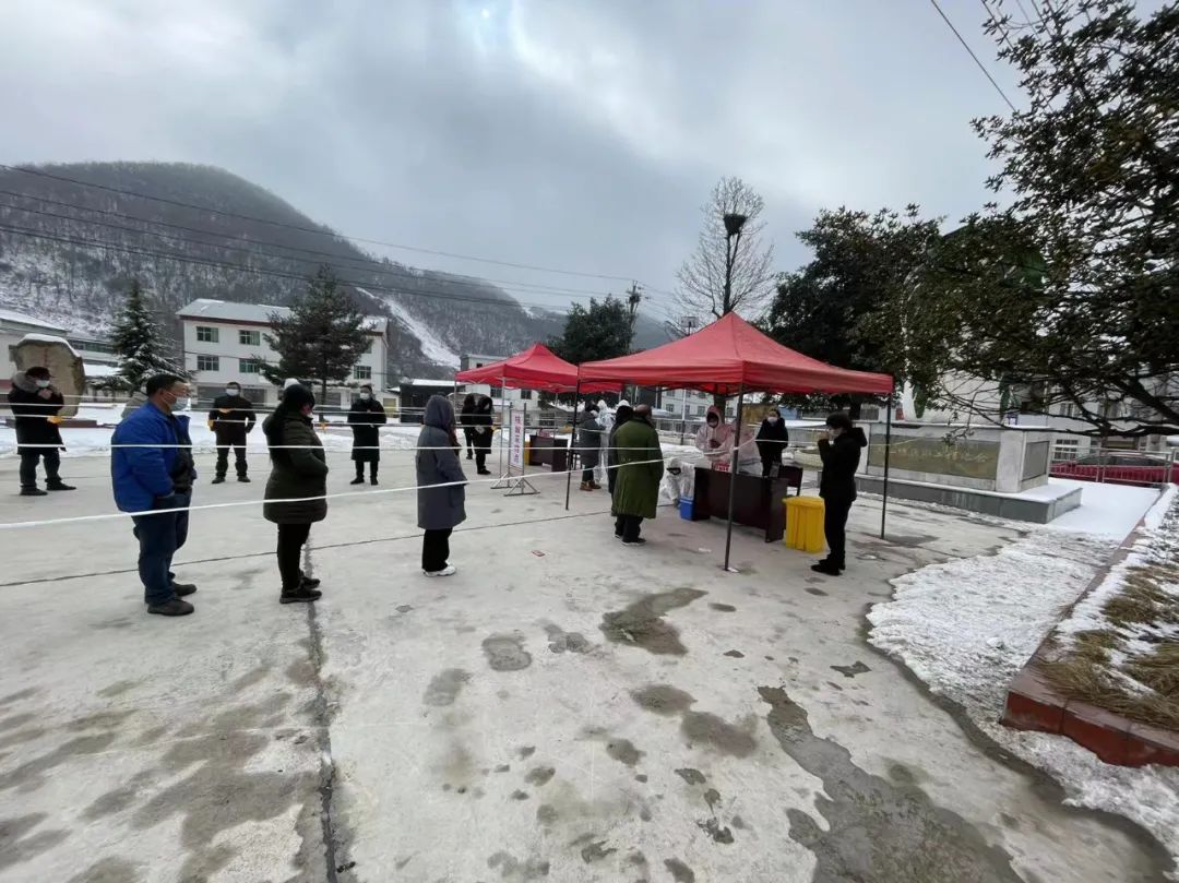 长阳最新疫情，观点阐述与分析报告