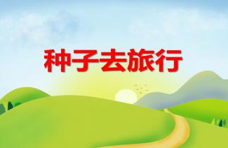 种子旅行最新指南,一步步教你完成种子旅行的旅程探索