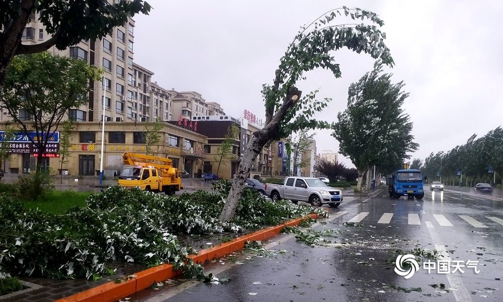 辽宁台风最新视频,观看与了解台风动态的步骤指南