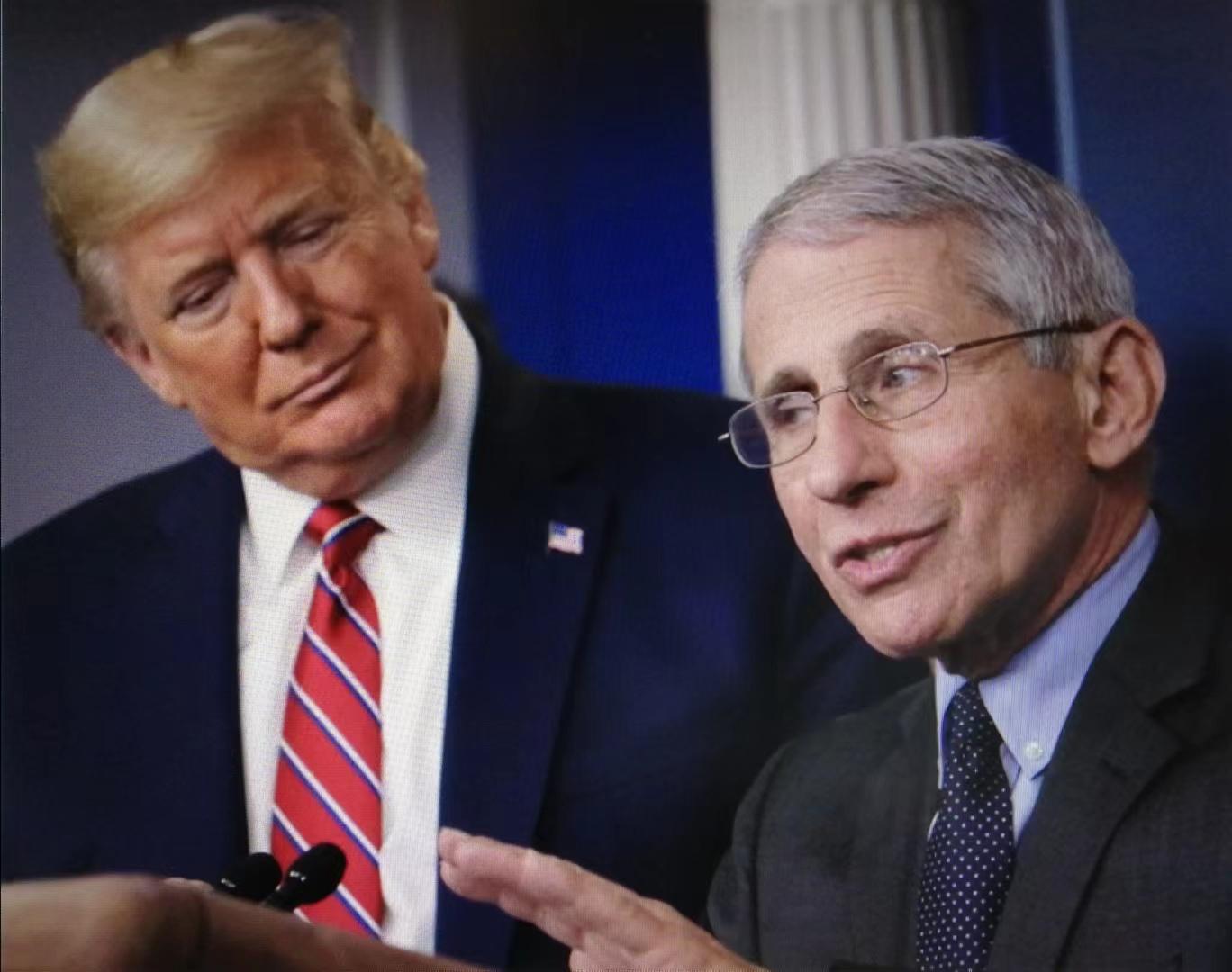 最新新冠疫情中国概况